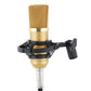 Professional BM-700 Metal Condenser Microphone – Gold-Plated Large Diaphragm for Studio & KTV